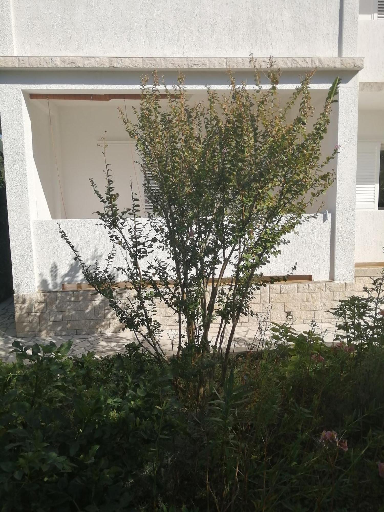 Apartment Ραμπ Εξωτερικό φωτογραφία